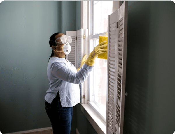windows cleaning services